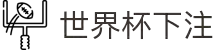 2026世界杯买球首页 - 世界杯入口